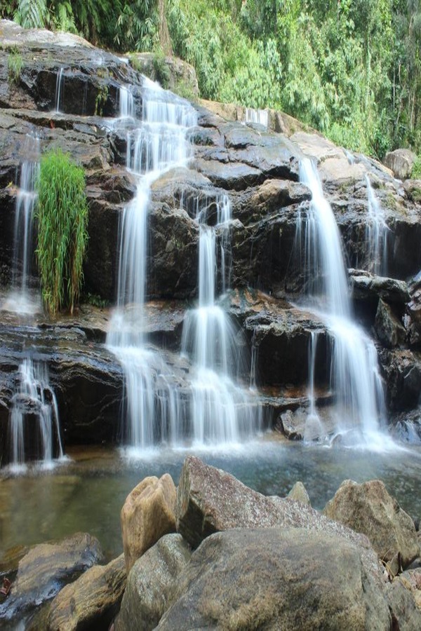 Goverment Lorem Ipsum Sit Amet Consectetur dipisi?