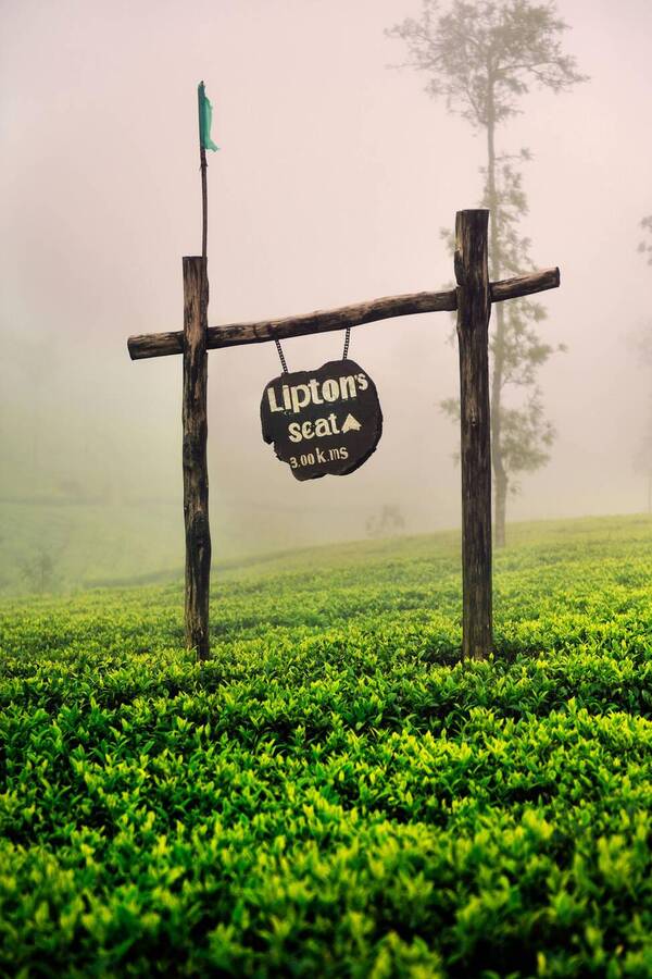 Goverment Lorem Ipsum Sit Amet Consectetur dipisi?