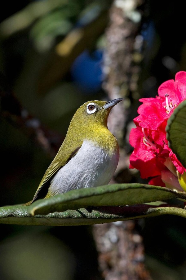 Horton Plains National Park